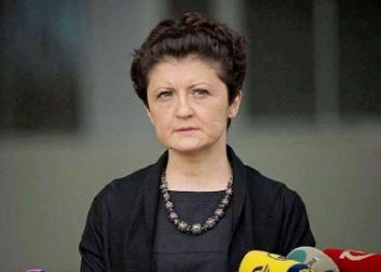 თეა წულუკიანი არასამთავრობოებს სთხოვს შეაფასონ სალომე ზურაბიშვილის მიმართ გამოხატული კრიტიკა