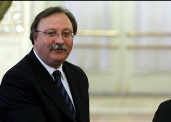 გრიგოლ ვაშაძე კანაფის კულტივაციის კონსტიტუციით ასაკრძალად ხელმოწერებს აგროვებს