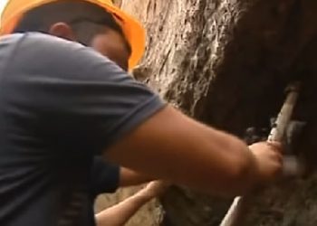 ქუთაისის ისტორიულ ნაწილში ნანახი არტეფაქტი ჩვენს წელთაღრიცხვამდე მე-10 საუკუნით თარიღდება