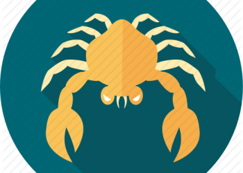 კირჩხიბი