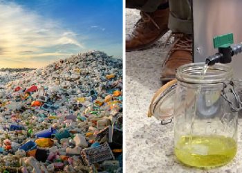 ფრანგმა მეცნიერებმა პლასტიკური ბოთლების საწვავად გარდაქმა შეძლეს