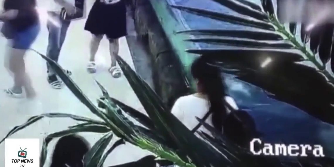 ზვიგენმა სავაჭრო ცენტრში პატარა გოგონას უკბინა