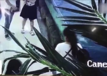 ზვიგენმა სავაჭრო ცენტრში პატარა გოგონას უკბინა